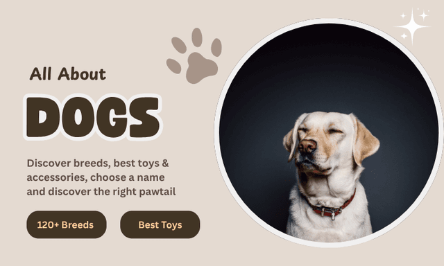 All About Dogs